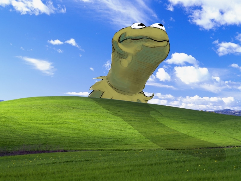 muppet, x, Windows XP, hd, windows, frogs, frog, xp, show, bliss, 1080P, microsoft, art, kermit, animals