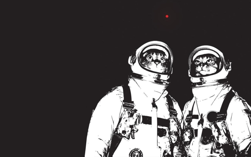 security, night, space suit, illustration, unrecognizable person, kittens, real people, 720P, technology, indoors, lifestyles, black background, low angle view