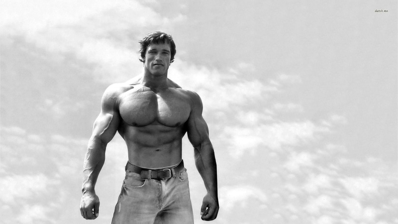 Arnold Schwarzenegger, Actors, 1080P
