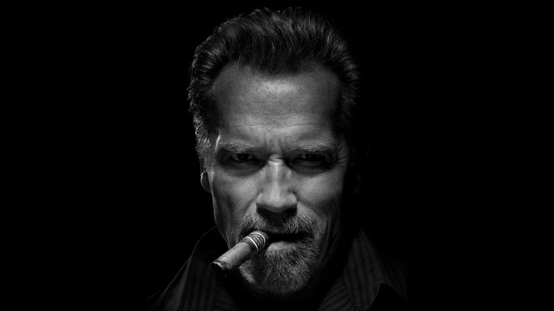 human face, mature adult, Arnold Schwarzenegger, mid adult, dark, adult, 1080P, copy space, one person, mature men, cut out, looking at camera, celebrity