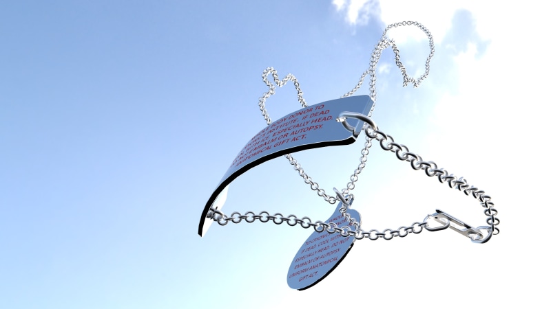 necklace, Cryonics Institute, outdoors, chain, sunlight, sky, decoration, personal accessory, single object, metal, Cryonics, no people, silver colored