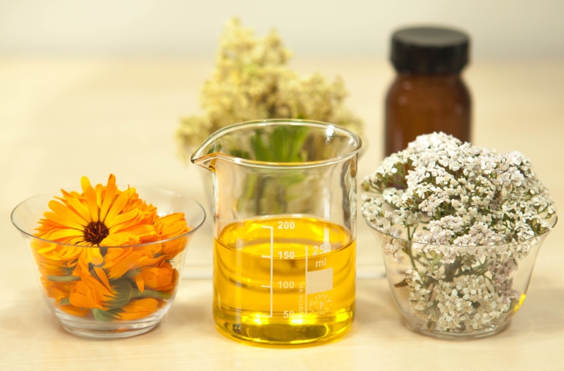 glass, filipendula ulmaria, meadowsweet, infused oil, medicine, photo, container, flower, glass - material, measuring, wellbeing, healthcare and medicine