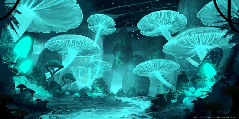Fantasy, 1080P, Nature, Fluorescent, Mushroom, Landscape