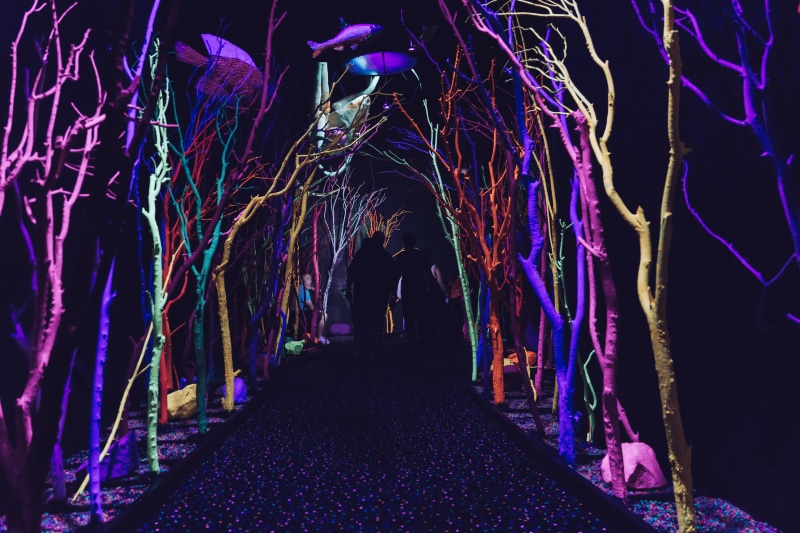 sony, trippy, real people, lighting equipment, multi colored, indoors, light, summer, fluorescent, decoration, illuminated, direction, explore