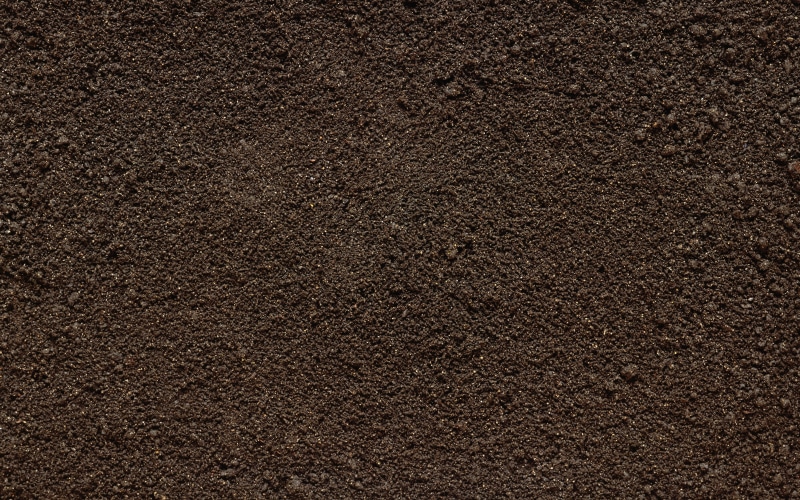 rough, macro, old, textured, surface level, texture, dark, concrete, blank, full frame, dirt, soil, sand, architecture, food, pattern, extreme close-up