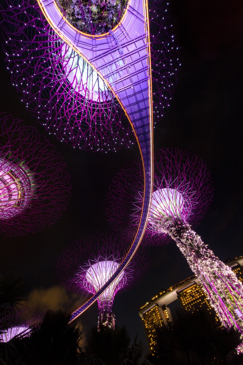 indoors, ferris wheel, futuristic, tree, purple, view, outdoors, pattern, worm, technology, reflection, skyline, singapore sky tree, studio shot, big city