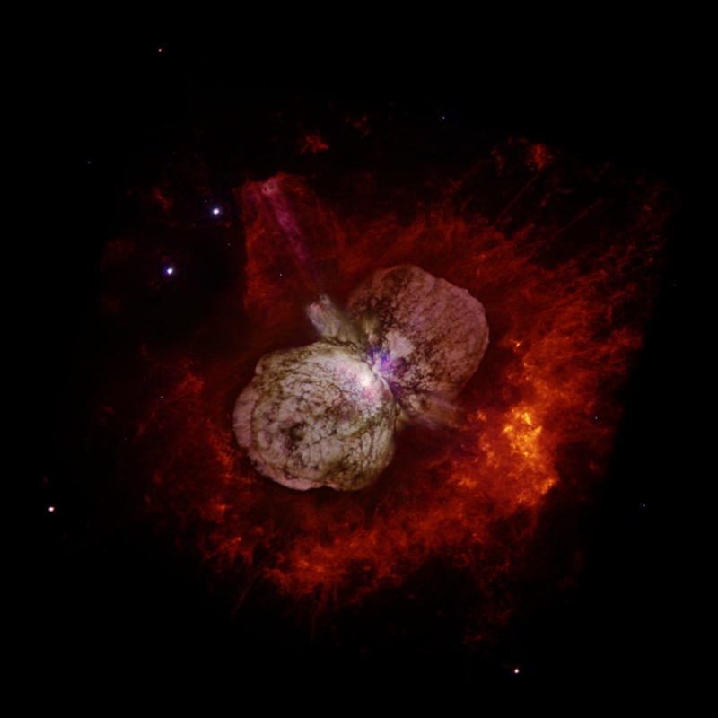 animals in the wild, black background, astronomy, 1080P, star - space, red, eta carinae, close-up, animal wildlife, on fire, gas cloud, sea, dust cloud