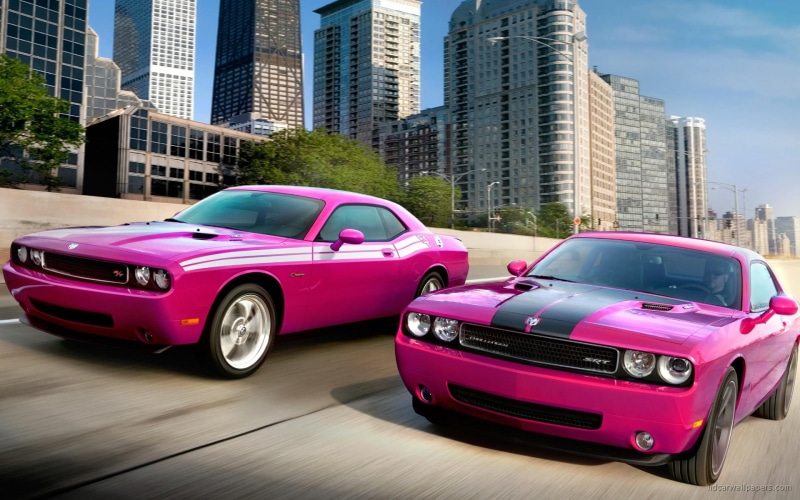 cars, rt, challenger, srt8, charger, challengers, dodge, pink, 1080P, srt