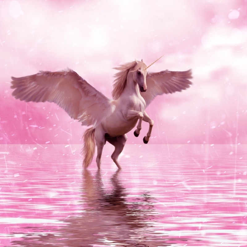 body, vertebrate, spread wings, nature, running, animal themes, fantasy, animal wing, unicorn, animals in the wild, wings, 2K, flapping, animal, mid-air