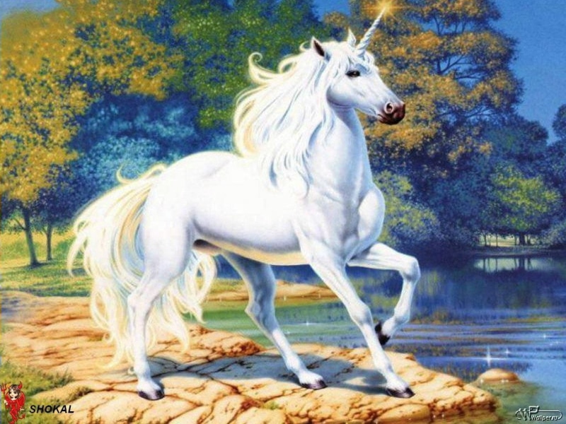 pets, herbivorous, domestic animals, no people, illustration, domestic, one animal, side view, plant, motion, unicorn, animal wildlife, water, white, mammal