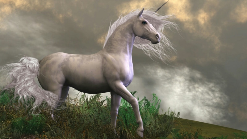 mane, fairy tale, unicorn, dreamland, grass, fantasy art, horse, fantasy land, pasture, 1080P, romantic, sky, dreamy