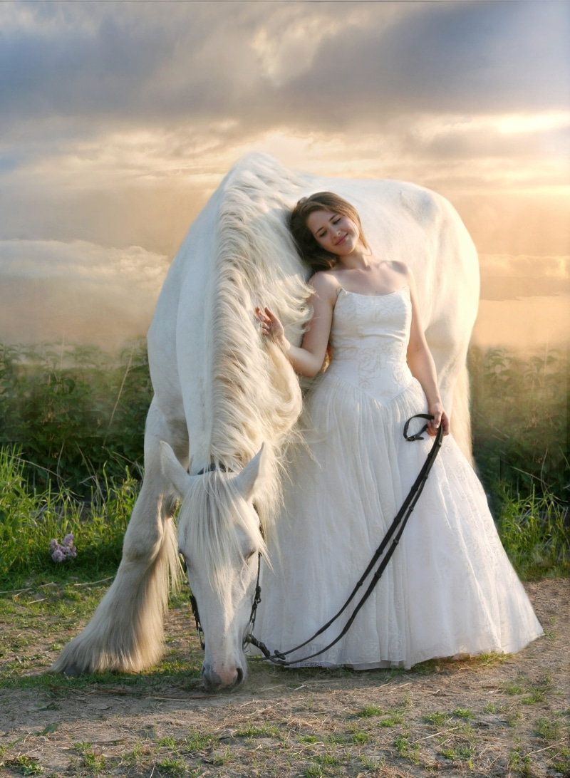 mammal, pets, females, nature, sky, sunset, white dress, young adult, domestic, draft, white, wedding dress, women, one animal, beauty, shire, girl, equine