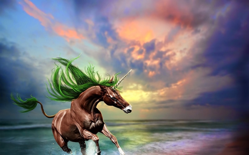 motion, land, 720P, outdoors, unicorns, animal, cloud - sky, water, sunset, horse, scenics - nature, animal themes, mammal, no people, animal representation
