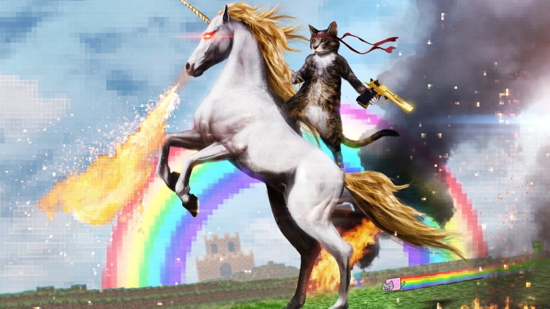 fantasy, sci fi, funny, cat, wtf, unicorn, 1080P, cats
