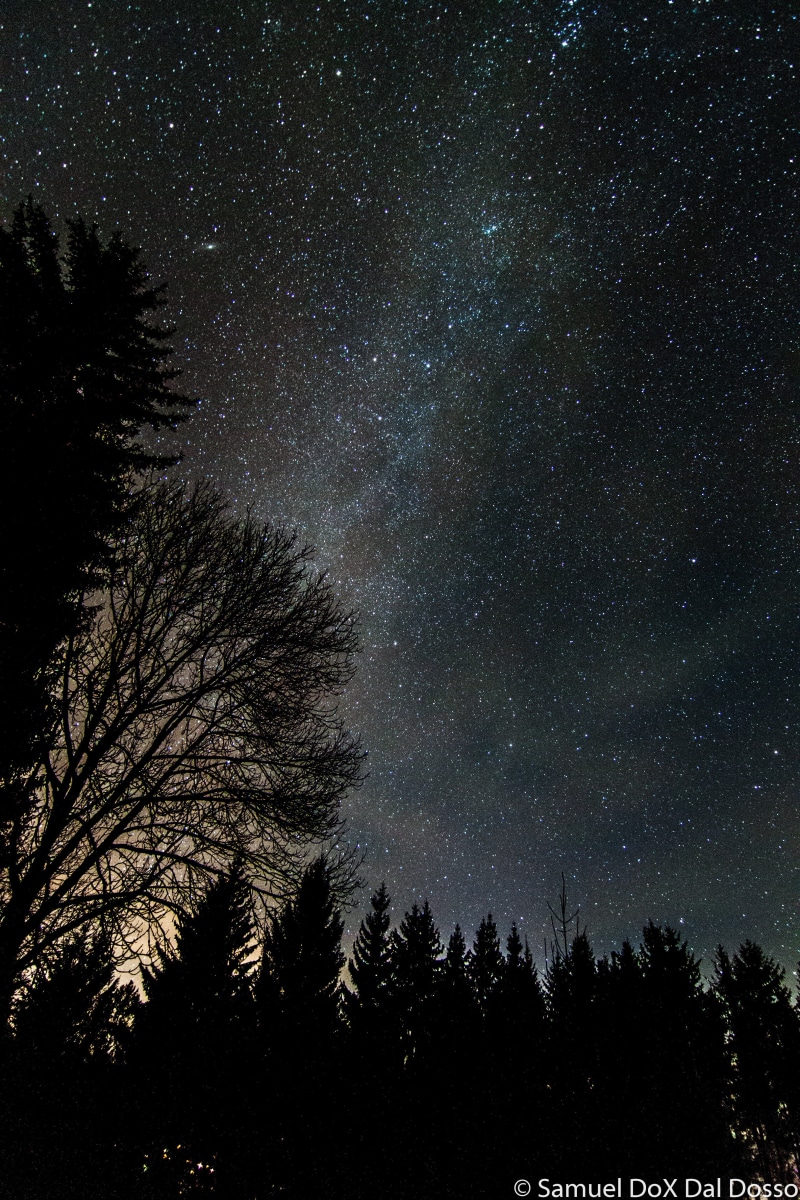 no people, beauty in nature, galaxy, scenics - nature, star field, outdoors, star, star - space, astronomy, idyllic, tranquil scene, milky way, night, plant