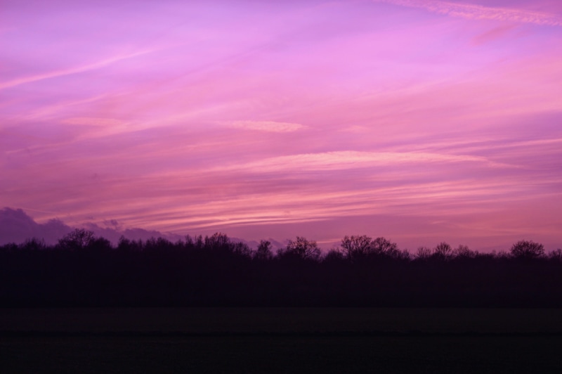 wide angle, beauty in nature, cloud, purple, clouds, sunset, pink, bradfield saint george, landscape, land, nature, tranquil scene, trees, ultraviolet