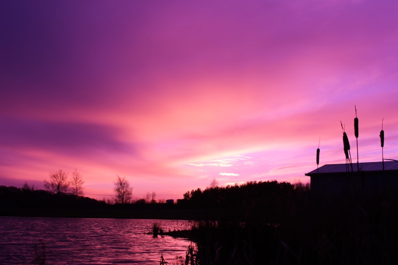 united kingdom, purple, idyllic, no people, romantic sky, 5K, nature, beauty in nature, sky, ultraviolet, cloud - sky, pink sky, plant, dusk, architecture