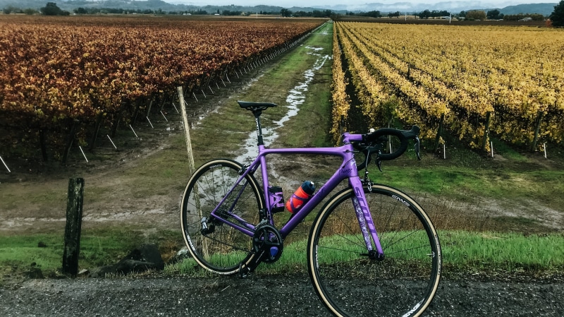 mode of transportation, fall, stationary, nature, yellow, 4K, environment, rural scene, agriculture, land, vines, bikes, winecountry, purple, united states