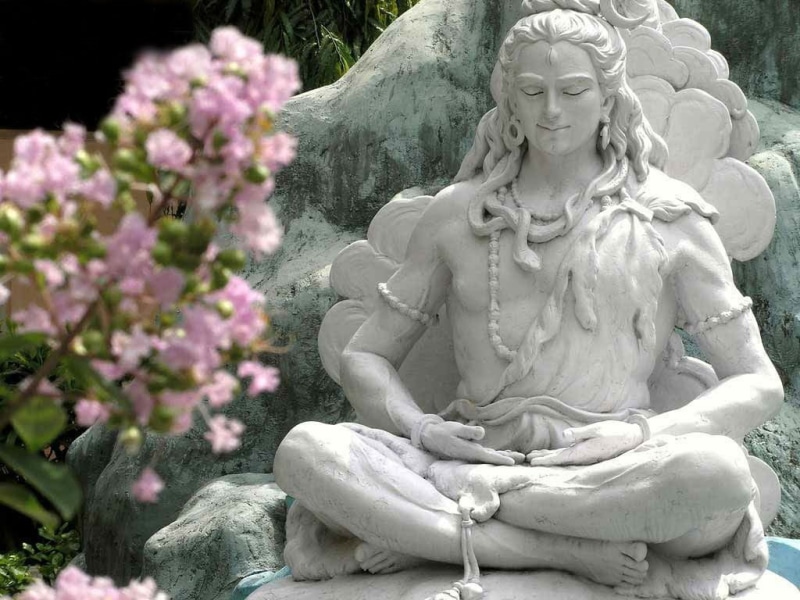 spirituality, complete, park - man made space, snake, flower, 480P, ornamental garden, human representation, park, possession, sitting, female likeness