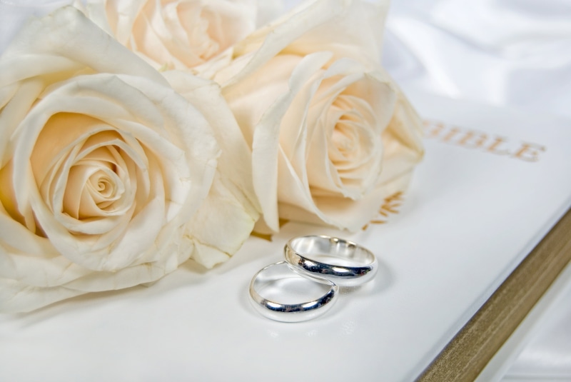 white, romance, petal, engagement Ring, flowers, celebration, nature, ceremony, engagement rings, beauty in nature, love, flowering plant, flower arrangement
