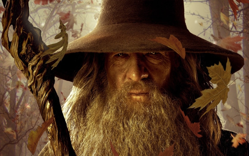 leisure activity, beard, Gandalf, wizard, clothing, close-up, human face, movies, plant, looking, front view, leaves, portrait, adult, long hair, 1080P