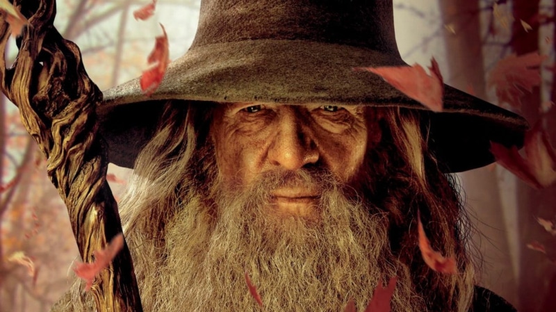 facial hair, beard, human face, 720P, The Lord of the Rings, looking, Ian McKellen, portrait, human body part, mustache, one person, looking at camera