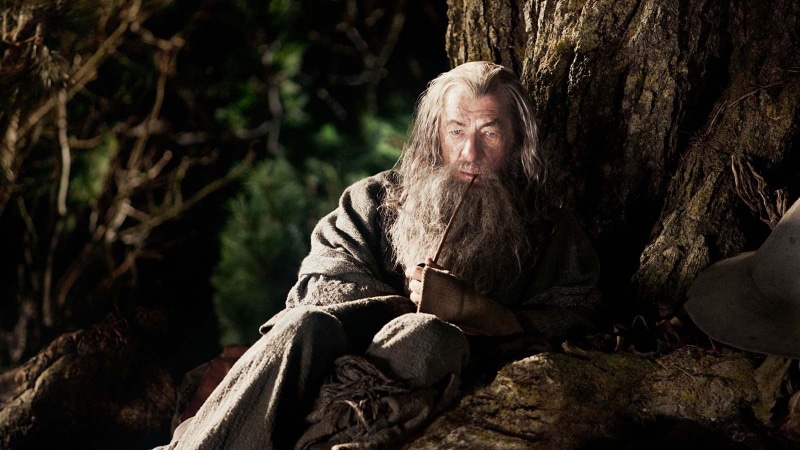 one person, The Hobbit: An Unexpected Journey, real people, nature, rock, lifestyles, adult, forest, blond hair, hair, day, contemplation, women, rock - object