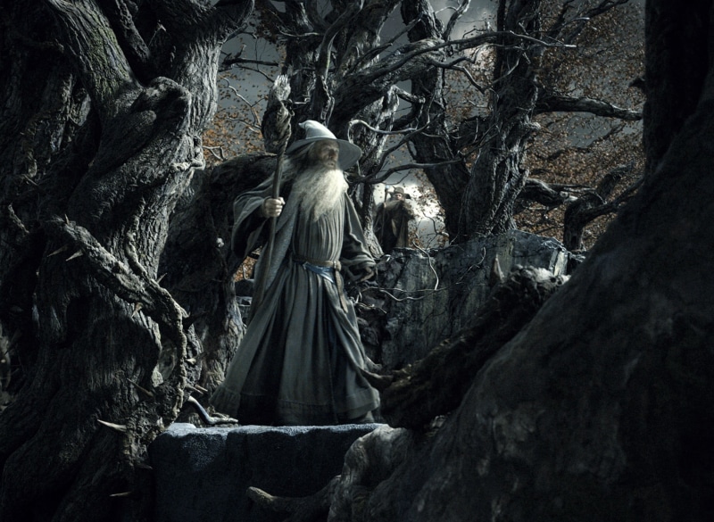 real people, history, nature, The Hobbit: The Desolation of Smaug, creativity, Radagast, art and craft, male likeness, architecture, human representation