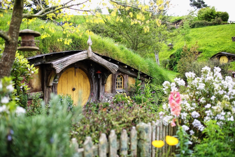 wood - material, hobbit, growth, house, no people, architecture, flower, beauty in nature, building, green color, new zealand, flowering plant, building exterior