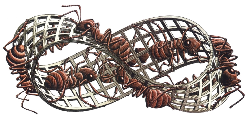 insect, metal, wicker, fishing industry, artwork, M. C. Escher, cut out, indoors, 3D, close-up, no people, large group of objects, arrangement, pattern