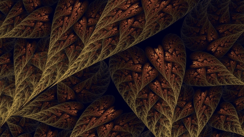 dried, leaf vein, directly above, area, abstract, digital art, abundance, day, outdoors, 1080P, no people, brown, close-up, fractal, plant, full frame