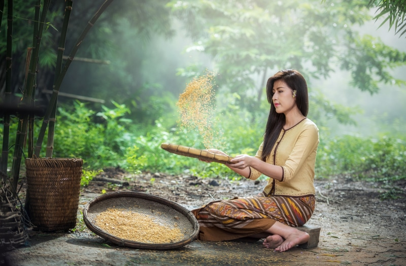 dressed up, full length, girl, pretty, unofficial, rural scene, one person, clean, nature, yellow, adult, brown, by nature, one young woman only, myanmar burma