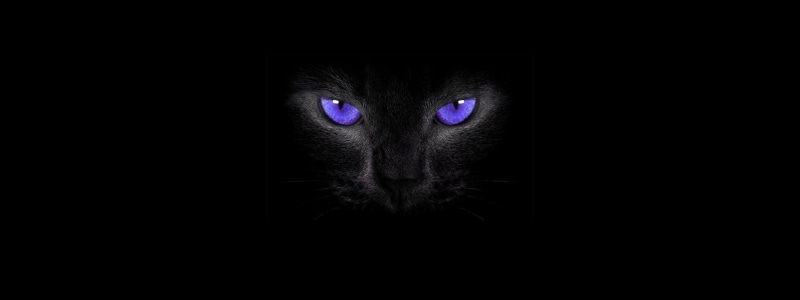 smoky eyes, simple background, 2K, cat eyes, black cats, cat