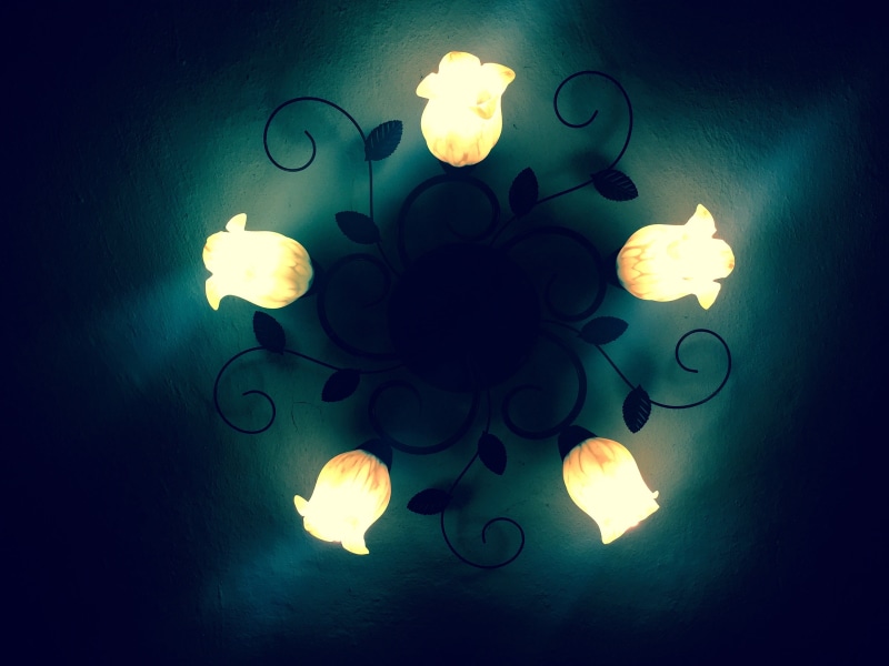illuminated, freshness, decoration, flower, close-up, vulnerability, no people, nature, petal, fragility, flowering plant, rose - flower, chandelier, rose