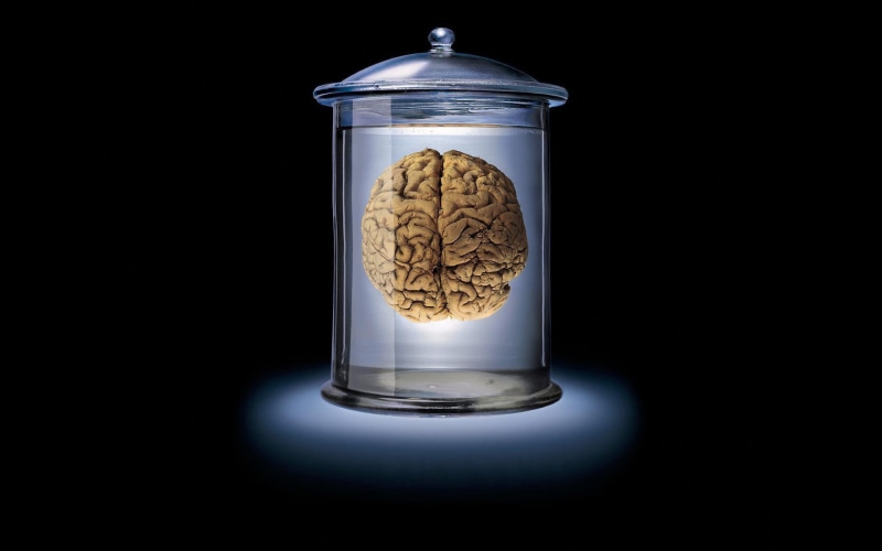 container, food, glass, dark background, studio shot, single object, food and drink, brain, healthy eating, 1080P, glass jar, glass - material, transparent