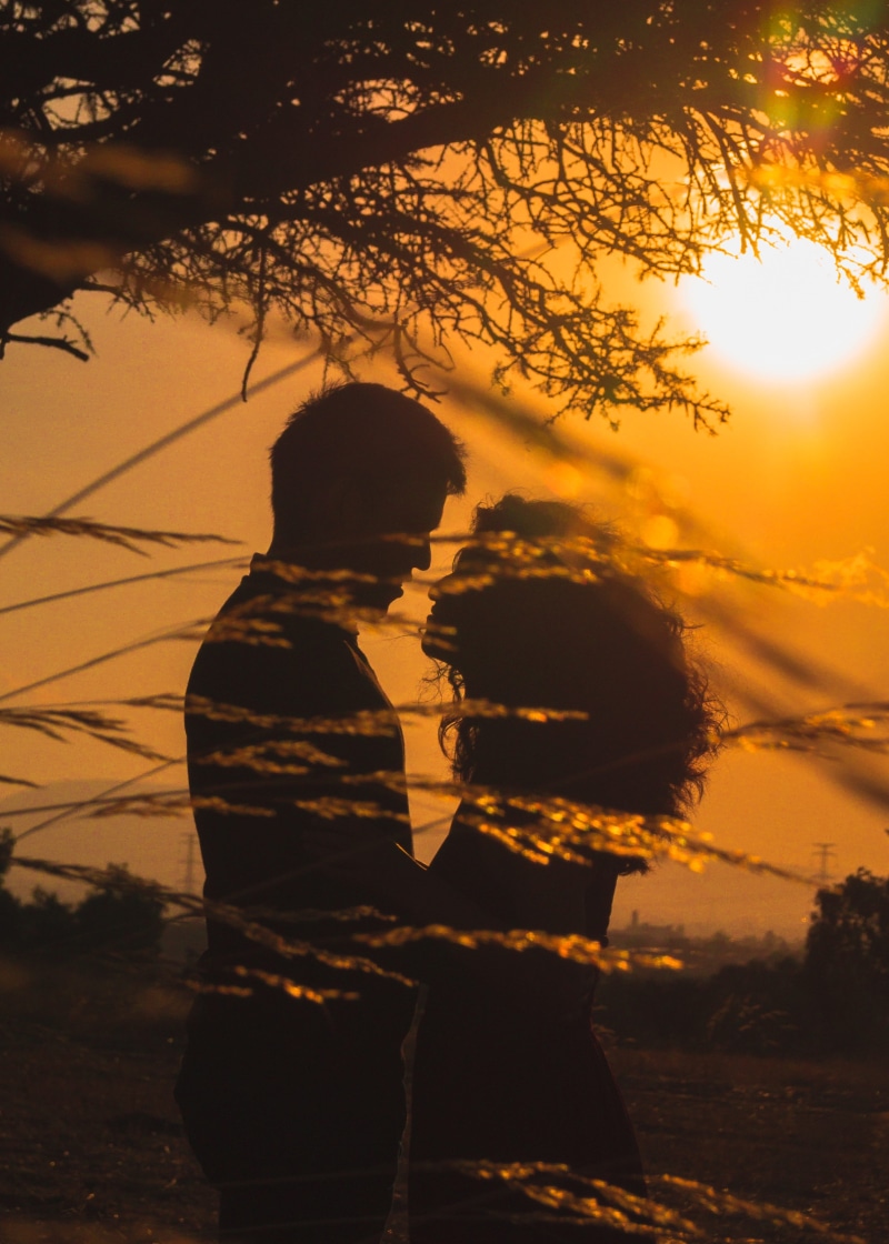 sunlight, one person, lifestyles, smiling, plant, silhouette, people, grooms, couple, women, happiness, romantic, men, nature, sunset, holiday, silhouettes