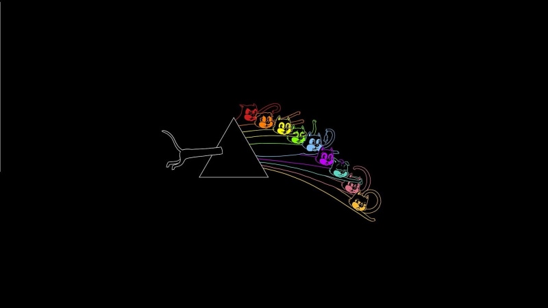 animal representation, lighting equipment, blue, black Color, nature, Artwork, night, vector, cut out, studio shot, illustration, illuminated, The Dark Side Of The 9 Lives