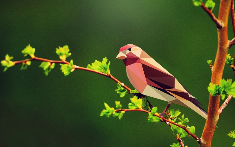 polygon art, 1080P, birds, geometry, low poly, geometric figures, nature