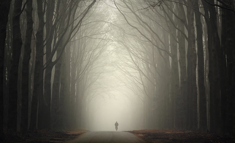 trees, sadness, Autumn, 1080P, cool, fall, Seasons, dark, loneliness, bicycle