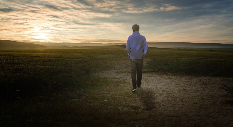 sad, idyllic, brown, sun, grass, landscape, young, cloud - sky, light, male, beauty in nature, outdoors, surrounded, rear view, sadness, handsome, looking