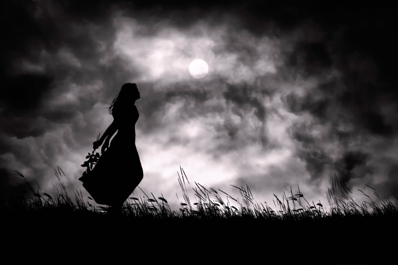 adult, vertebrate, land, dark, 1080P, sky, females, lifestyles, young Adult, people, one Person, silhouette, black And White, plant, the moon