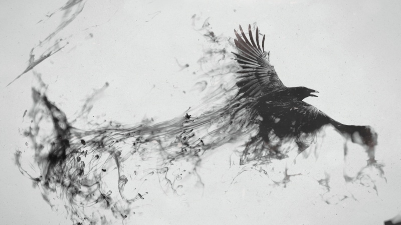 magic, fly, minimalist, illusion, digital art, raven, artwork, art, bird, 4K, monochrome, black and white
