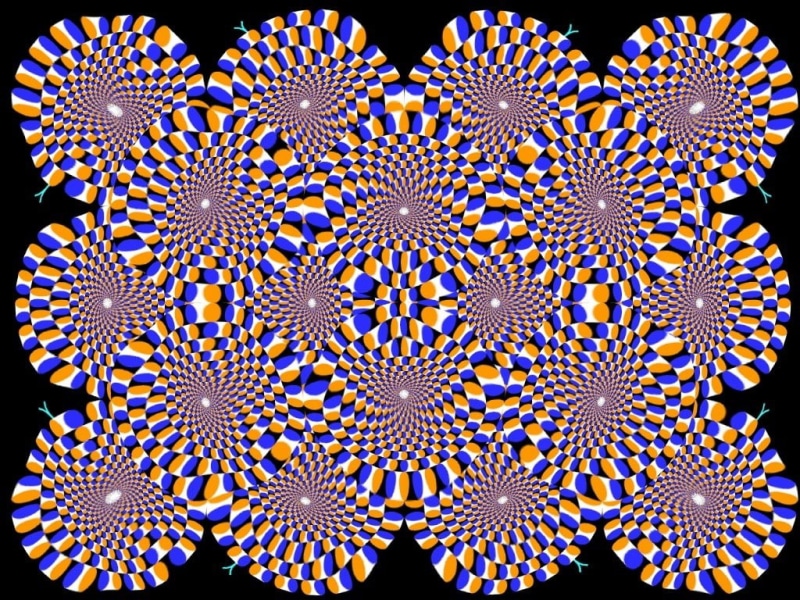 backgrounds, full frame, black background, intricacy, marine, close-up, shape, 480P, multi colored, floral pattern, nature, repetition, optical illusion