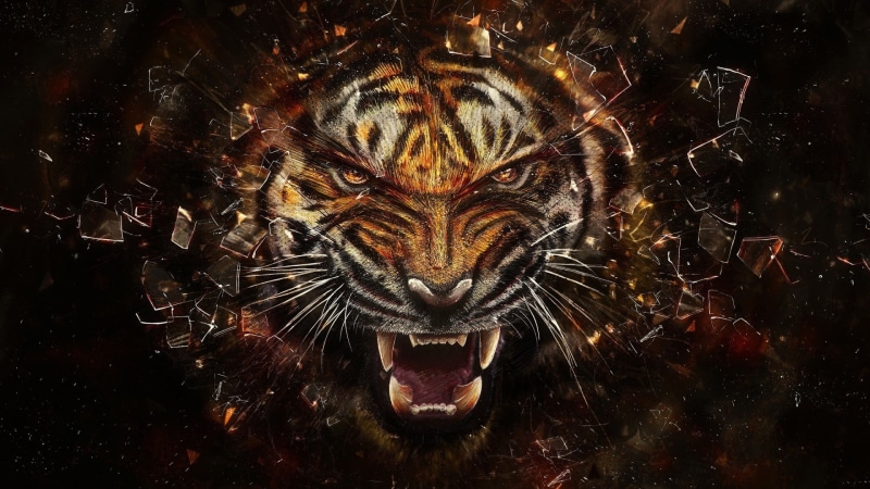 teeth, digital art, shards, animals, face, glass, broken glass, 1080P, artwork, tiger