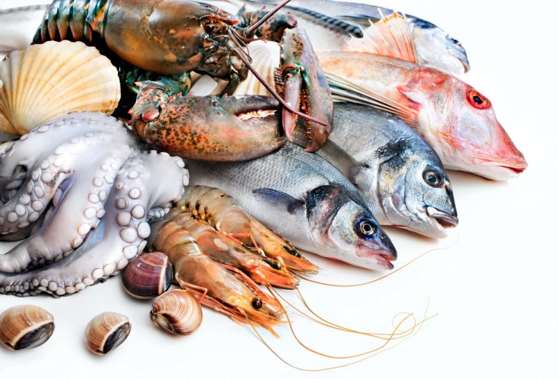 healthy Eating, crustacean, gourmet, vertebrate, fishing Industry, food, cooking, refreshment, shrimp, raw Food, studio shot, indoors, foods, prepared Fish