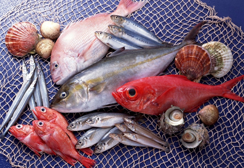 food And Drink, indoors, sea, wellbeing, nature, fish, catch of Fish, seafood, fishing Industry, healthy Eating, choice, shell, animal wildlife, variety
