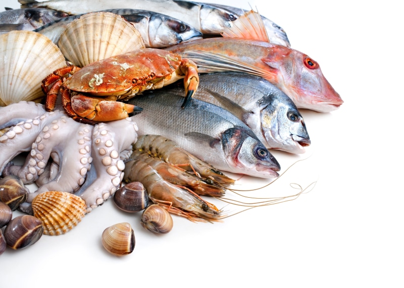 squid, 4K, fish, seafood, crabs, shell, white background, shrimp