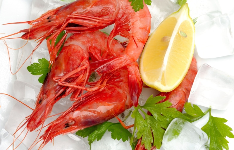 lunch, close-up, crabs, prepared Fish, cooked, spice, appetizer, indoors, shrimp, 4K, prawn, lemon, herb, seafood, ready-to-eat, backgrounds, prepared Crustacean