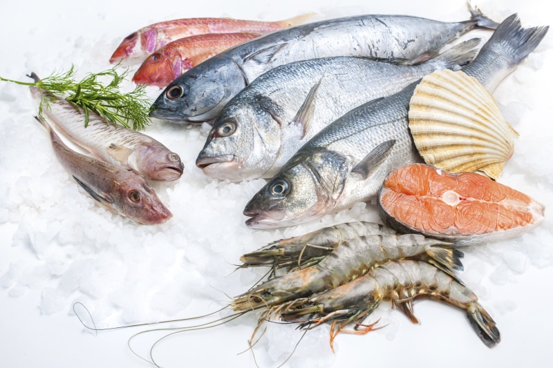 seafood, ocean, food, 5K, sea, fish