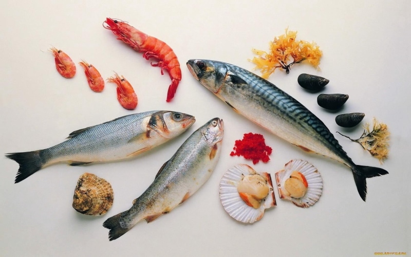 raw Food, fish, no People, indoors, still life, seafood, sea, oysters, nature, high angle view, food And Drink, shrimps, healthy Eating, lemon, ingredient